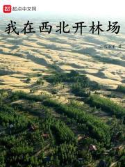 我在西北开林场 我在西北开林场