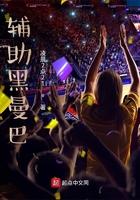 辅助黑曼巴 辅助黑曼巴
