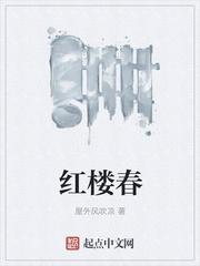 红楼春 红楼春