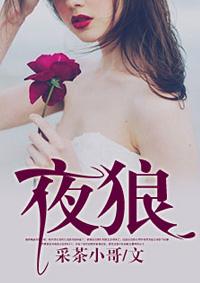 夜狼 夜狼