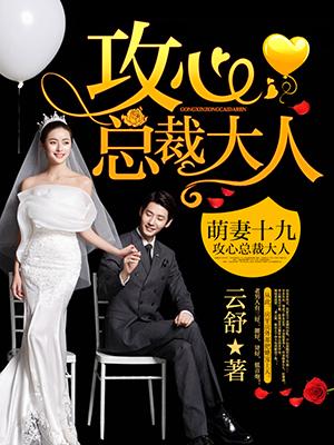 萌妻十九:攻心总裁大人 萌妻十九:攻心总裁大人