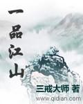 一品江山 一品江山