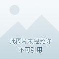 仙道贵胄 仙道贵胄