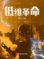 低维革命 低维革命
