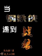 当钢铁侠遇到战狼 当钢铁侠遇到战狼