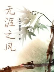 无涯之风 无涯之风