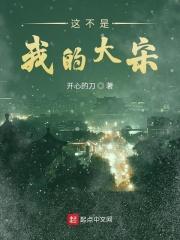 这不是我的大宋 这不是我的大宋