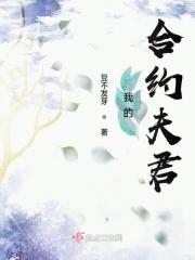 我的合约夫君 我的合约夫君